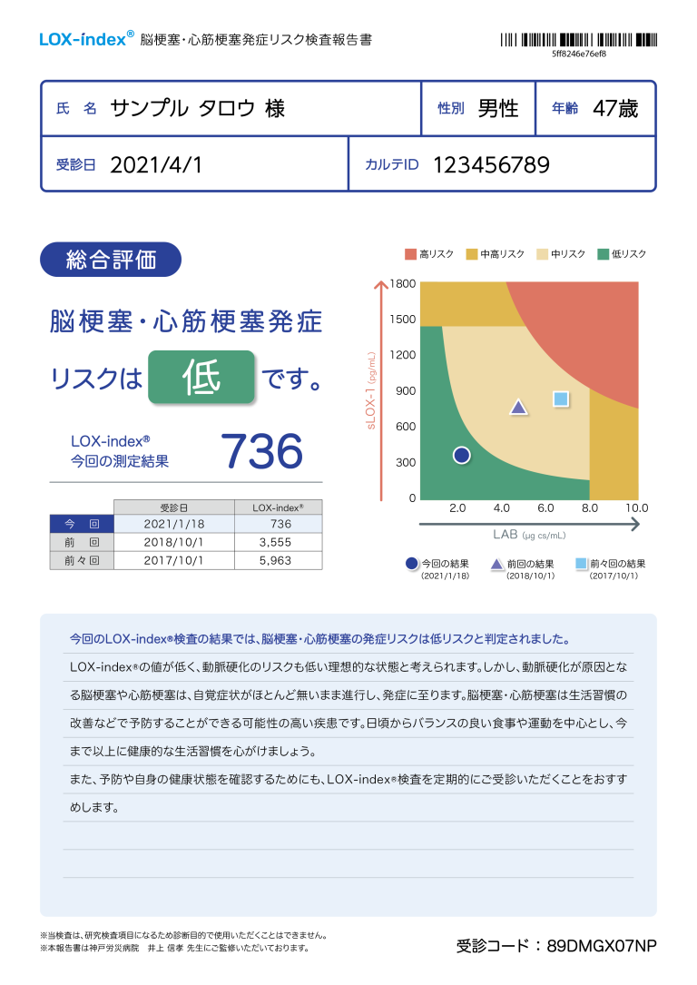 ロックスインデックス報告書１